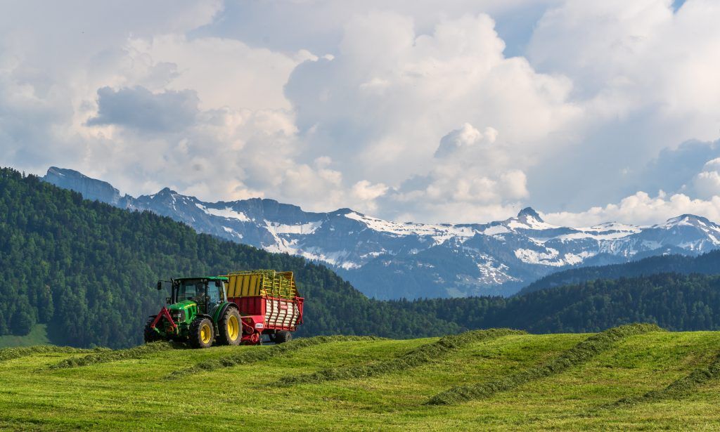 Landwirte wählen Kammer