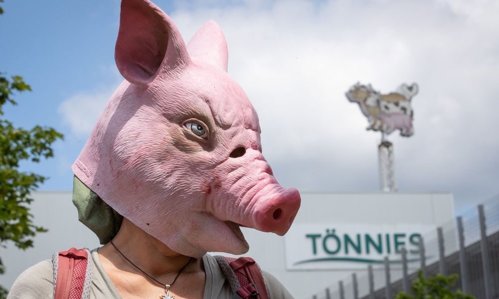 Fleischfabrik Tönnies: Stadtteil wurde abgeriegelt