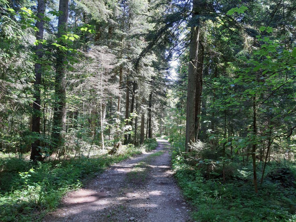 Schöner Weg der Naturjuwele