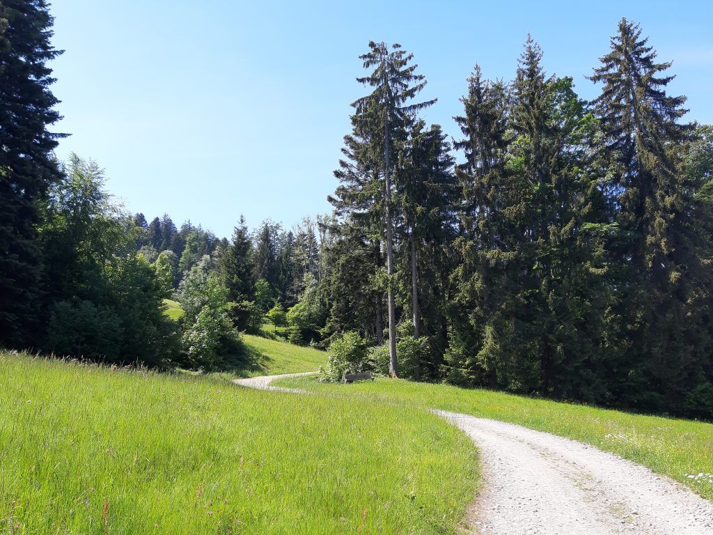 Alte Wege zum  Pfänderrücken