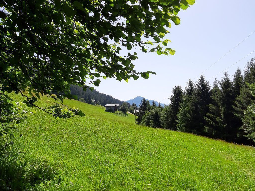 Auf der Sonnenseite des Walgaus