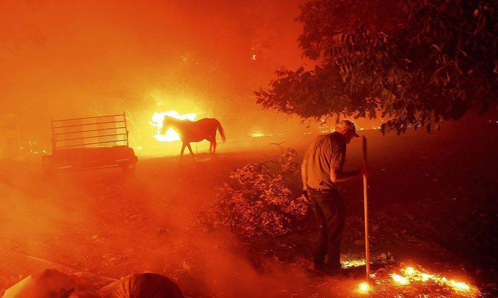 Vier Tote bei Waldbränden