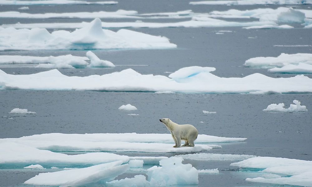 Eisschmelze in Grönland nicht mehr aufzuhalten