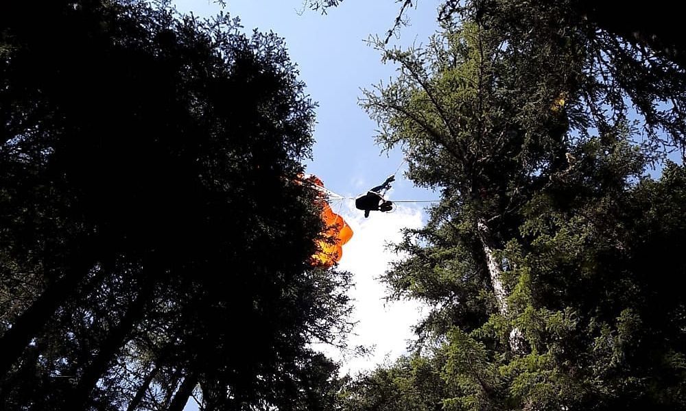 Paragleiter blieb in Baum hängen