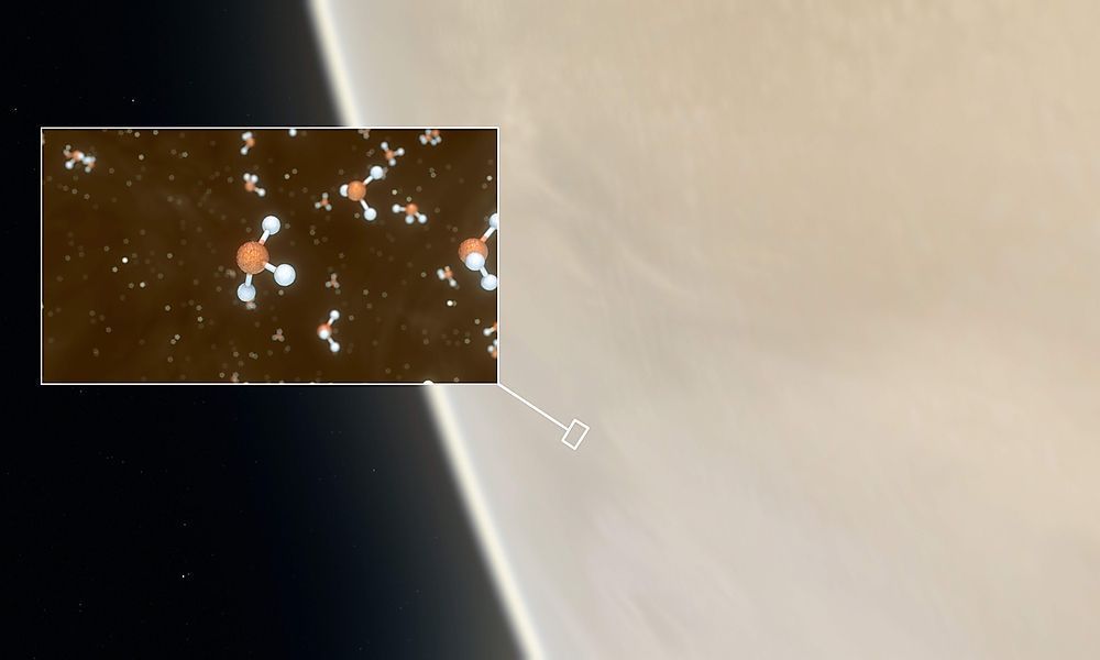 Venus: Hinweise auf außerirdisches Leben