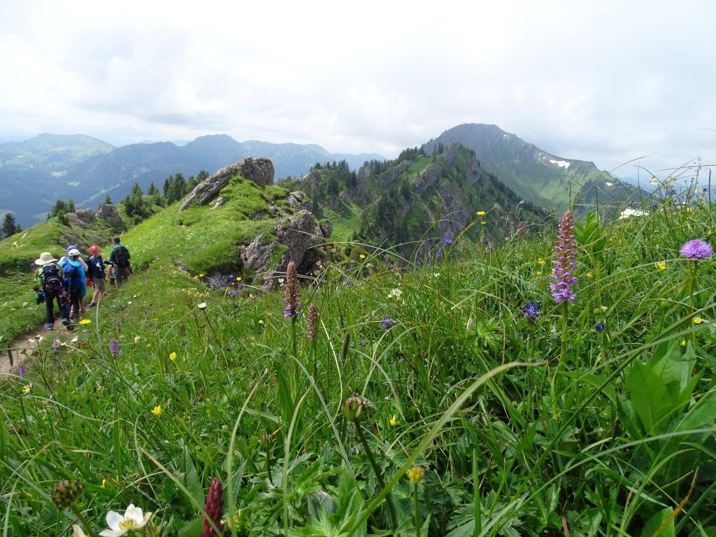 Naturpark: Genützt und geschützt