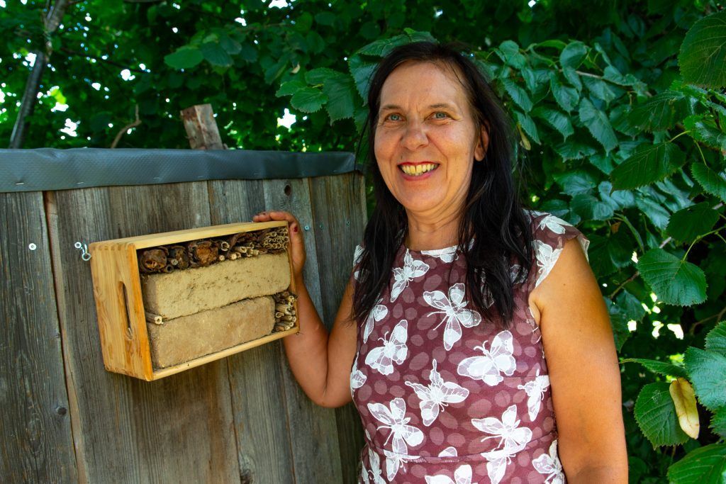 Paradies für Bienen im Naturgarten