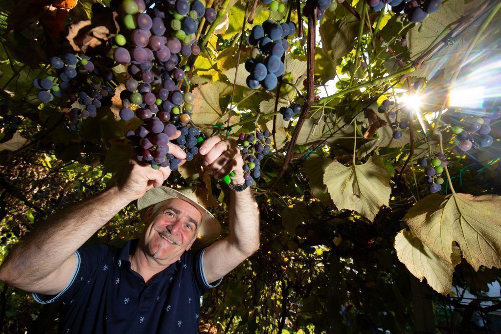Bludenz: Es wird ein Wein sein…
