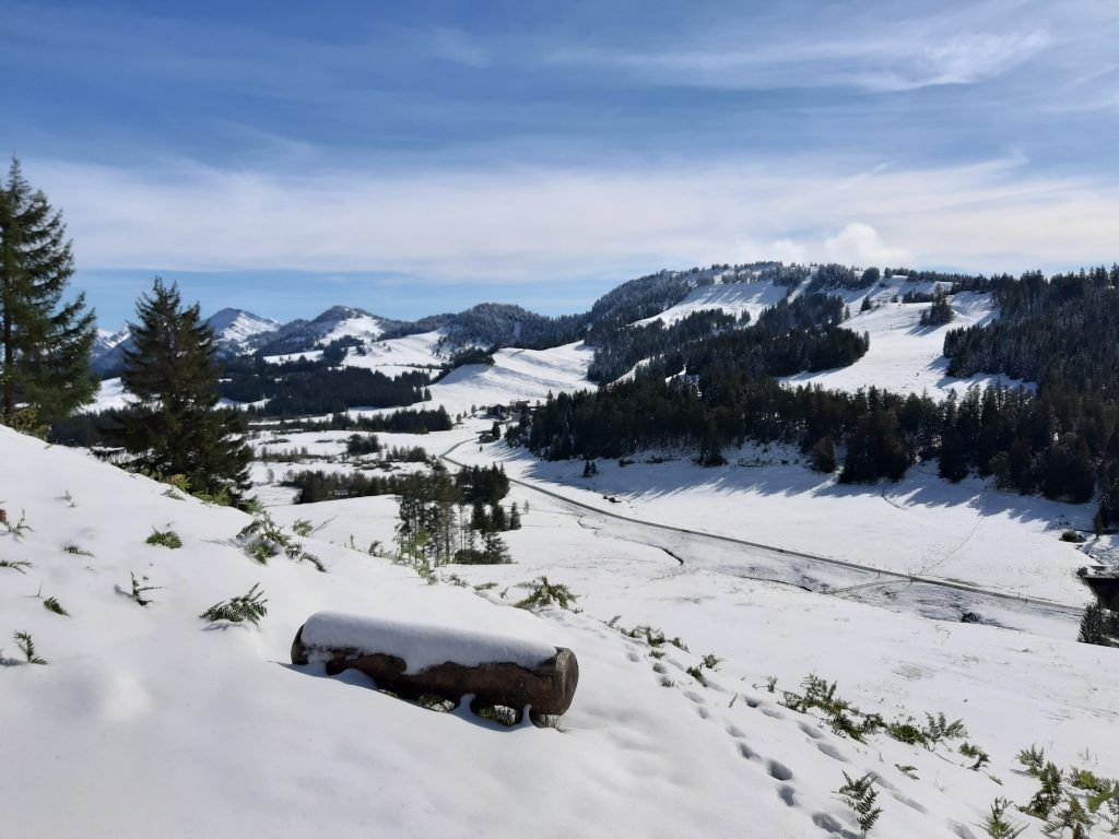 Wanderung im Kojental durch den Schnee