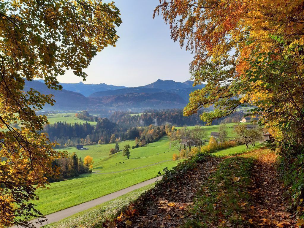 Auf den Spuren des Elias Brügel