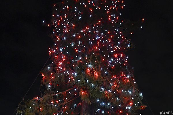 Der Christbaum am Wiener Rathausplatz leuchtet