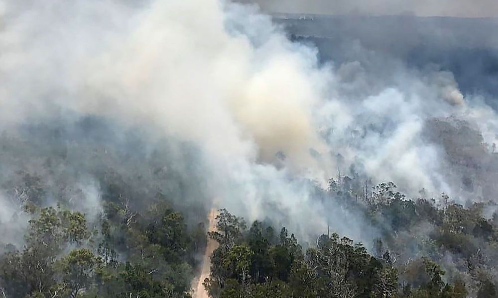 Erneut über 50 Waldbrände in Australien