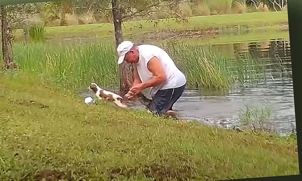 74-Jähriger befreite Hund aus Alligator