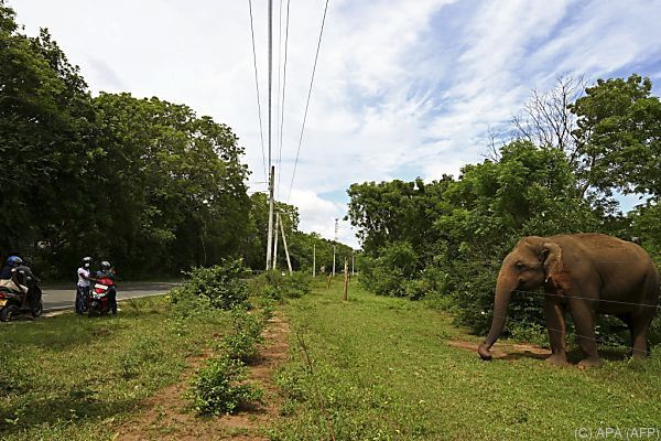 Sri Lanka lässt unter hohen Auflagen Touristen ins Land