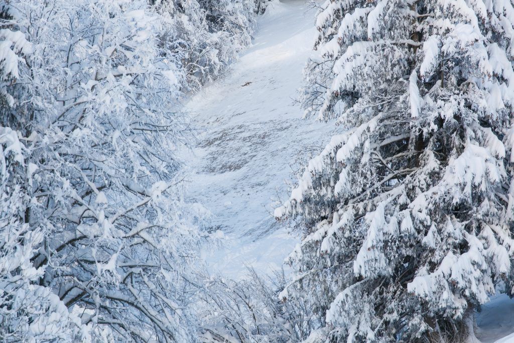 Skifahrer von Lawine verschüttet