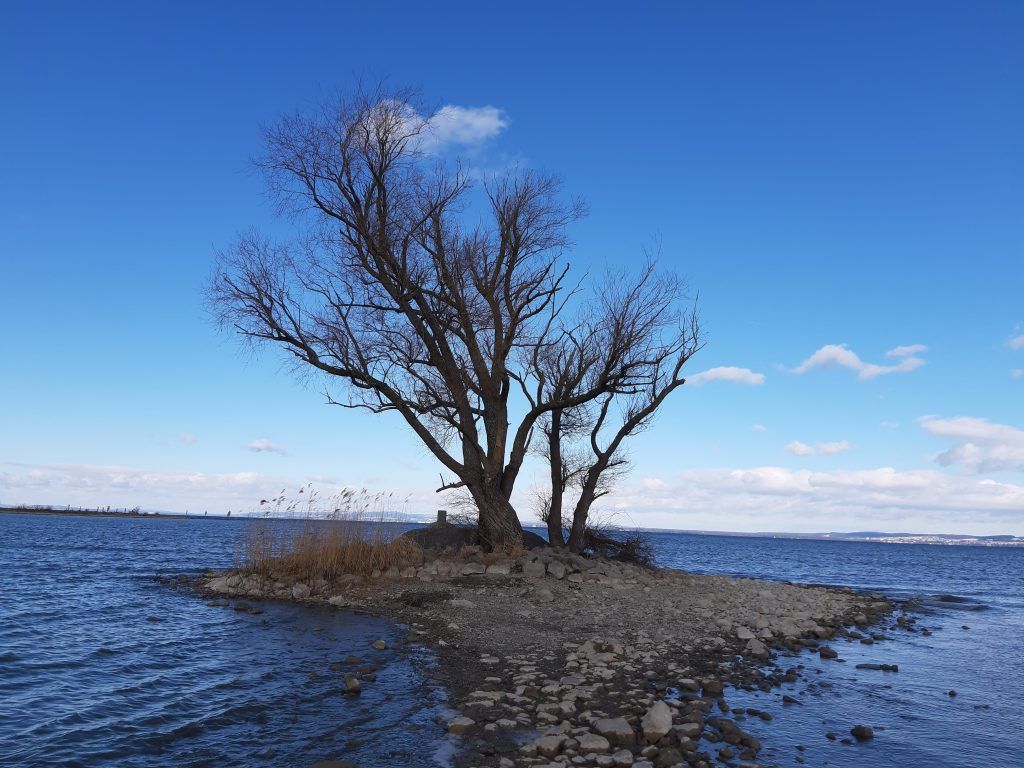 Naturland wunderbares Rheindelta