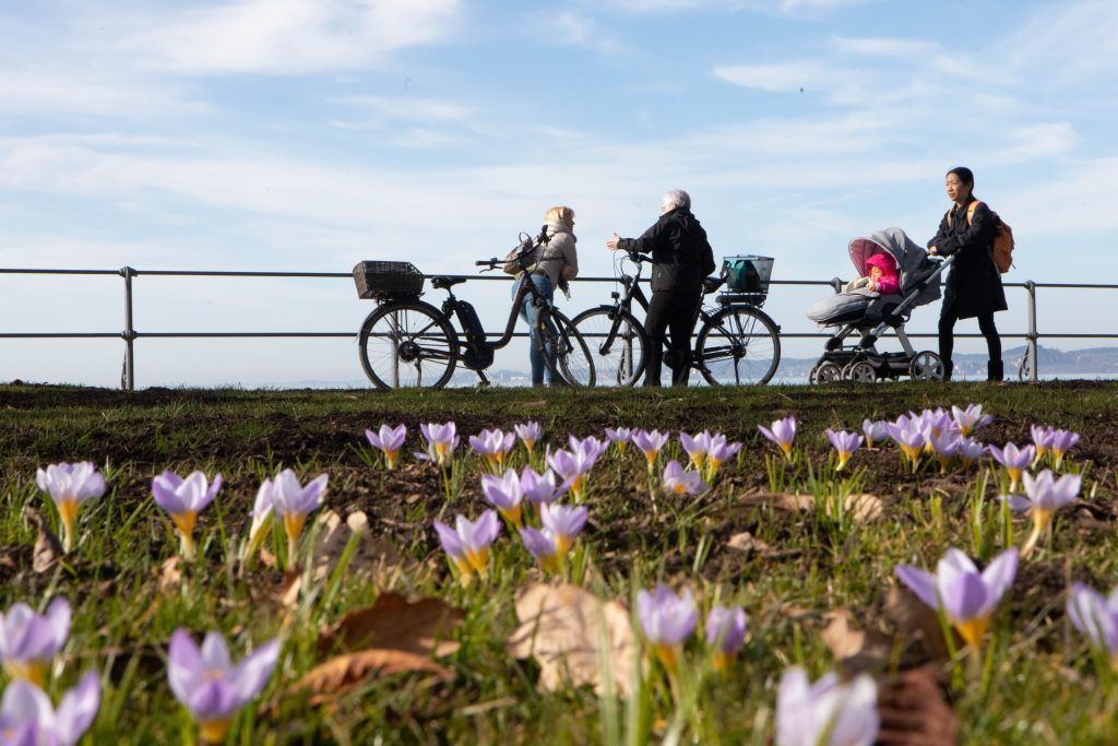 Ein Vorgeschmack auf den Frühling