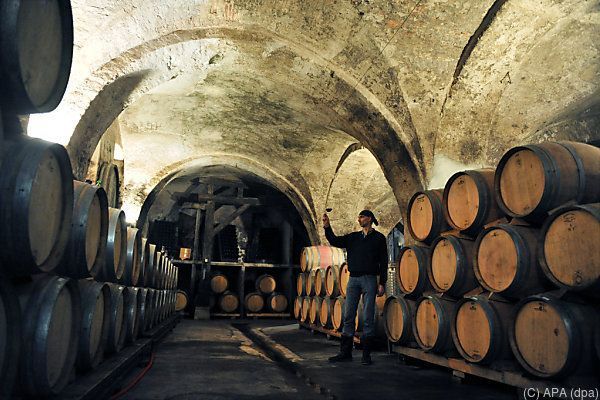 Weinernte war im Coronajahr durchschnittlich, Bestand hoch