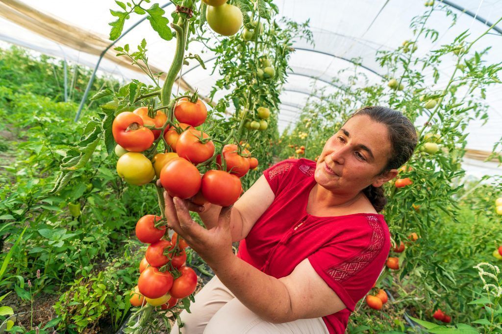 Umgebung beeinflusst die Ernährung