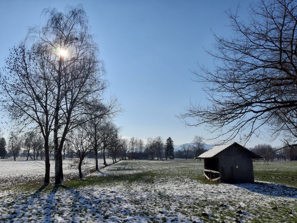 Spaziergang durch das Ried in Lauterach