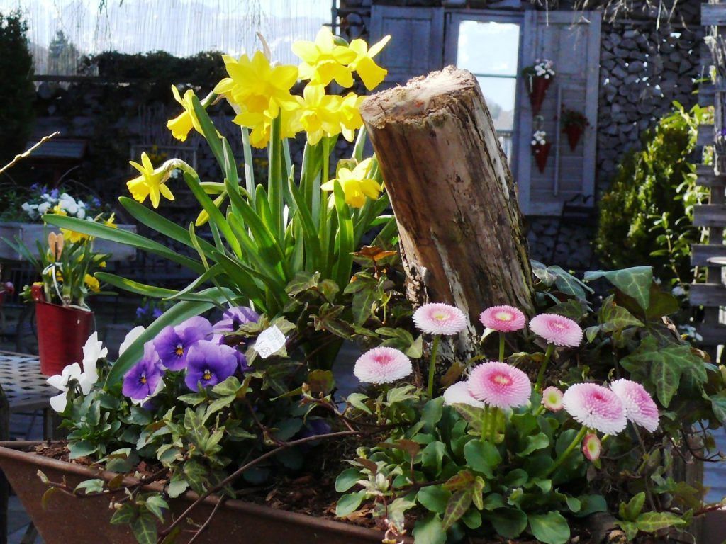 Den Frühling in ein Osternest gepackt