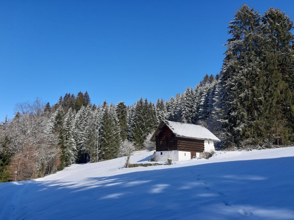 Naturnahe Waldrunde in Satteins
