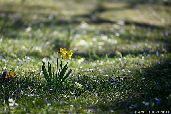 Frühling bringt Konjunkturwende