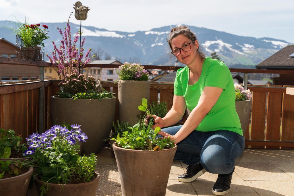 Essbarer Balkon und Hingucker