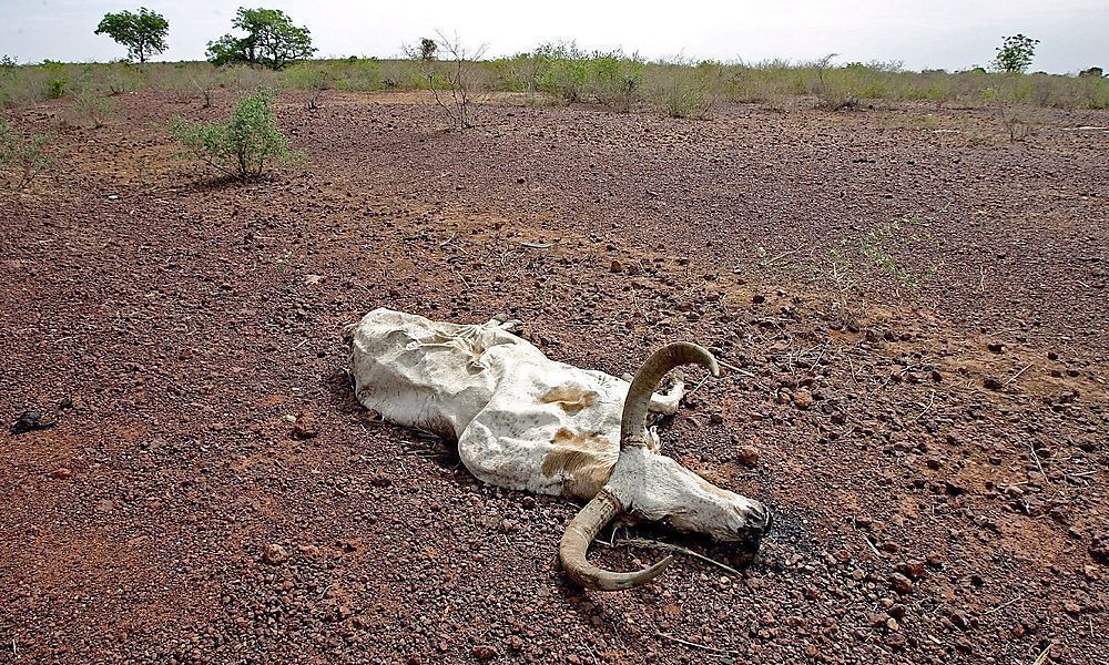 Terror in Sahel-Staaten vertreibt Millionen
