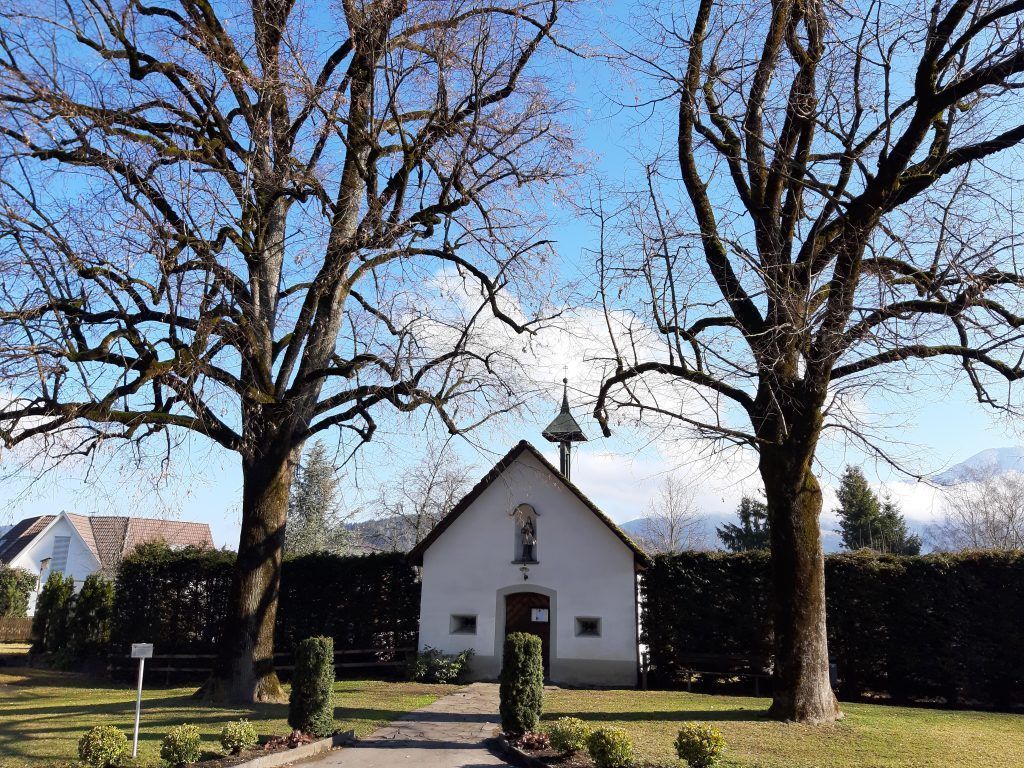 Naturjuwel Frastanzer Ried