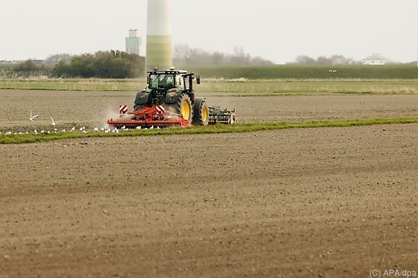 Ringen um milliardenschwere EU-Agrarreform in Brüssel