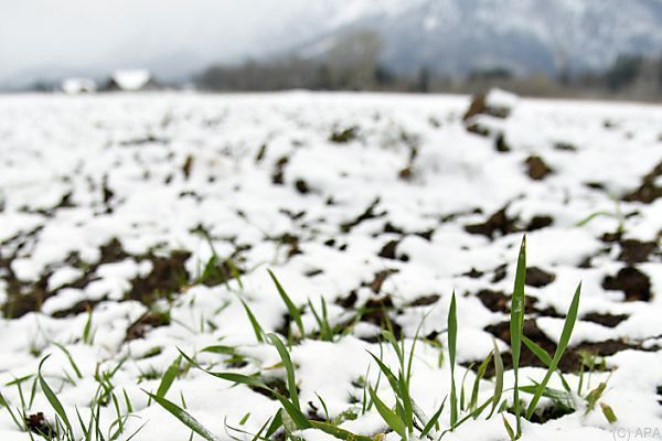 Wintersaison war für Tourismus quasi ein Totalausfall
