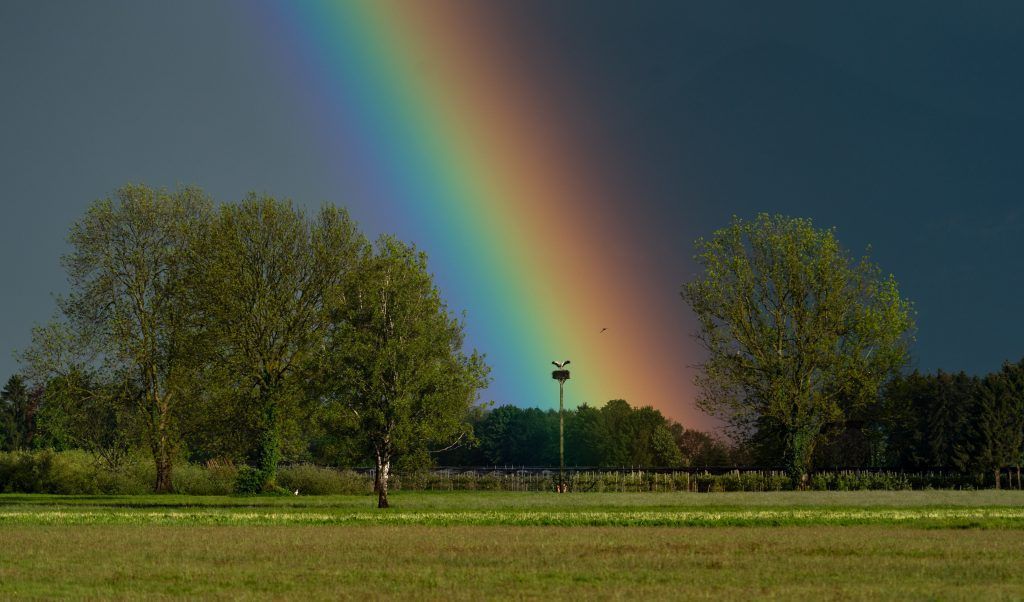 Noch kein Sommer in Sicht