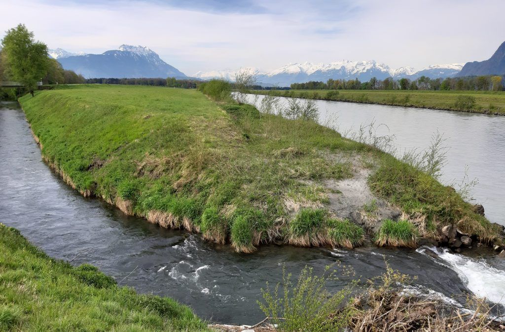 Weite Blicke im Ried am Kumma