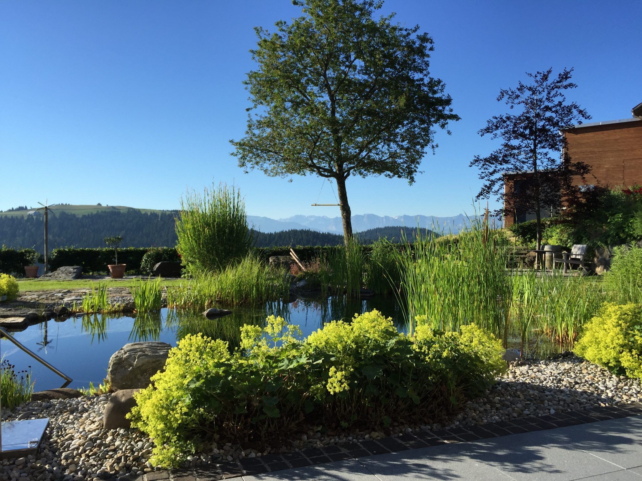 Wassergärten und Schwimmteiche - NEUE Vorarlberger Tageszeitung