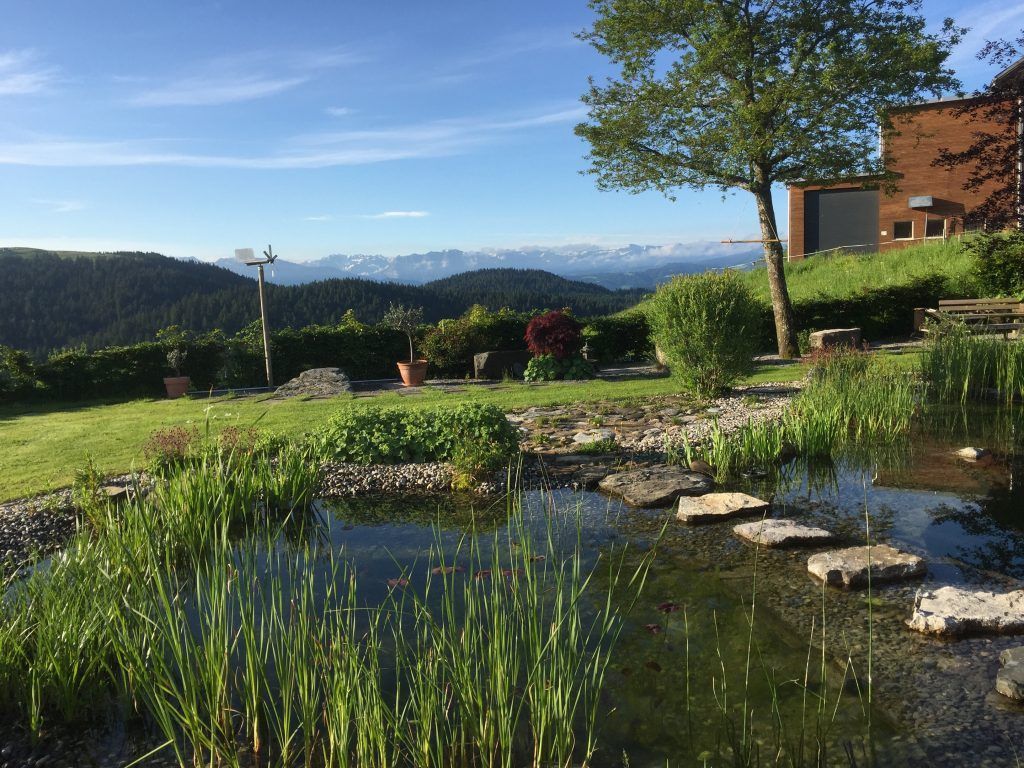 Wassergärten und Schwimmteiche