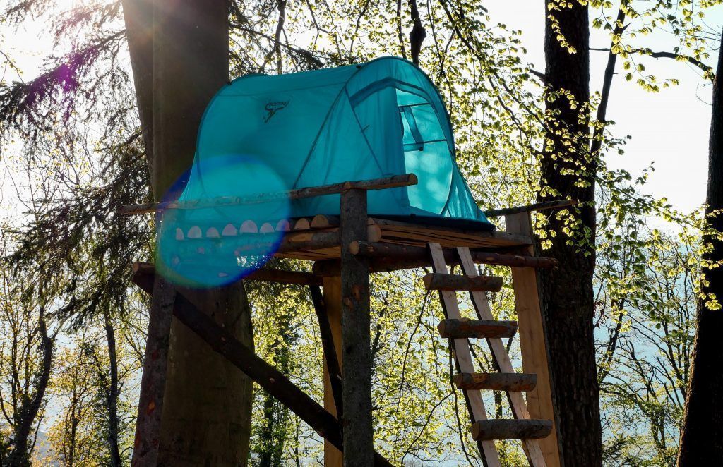 Sprachkurs im Steinwildgehege