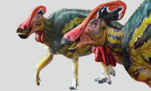 Forscher entdecken neue Dinosaurierart