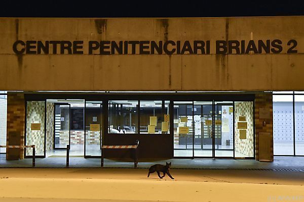 John McAfee tot in Gefängniszelle aufgefunden