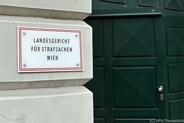 Frau bei Missbrauch fast gestorben: 20 Jahre Haft