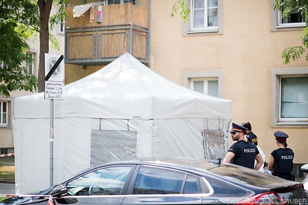 Tote Frau auf Straße in Wien gefunden - Mordalarm