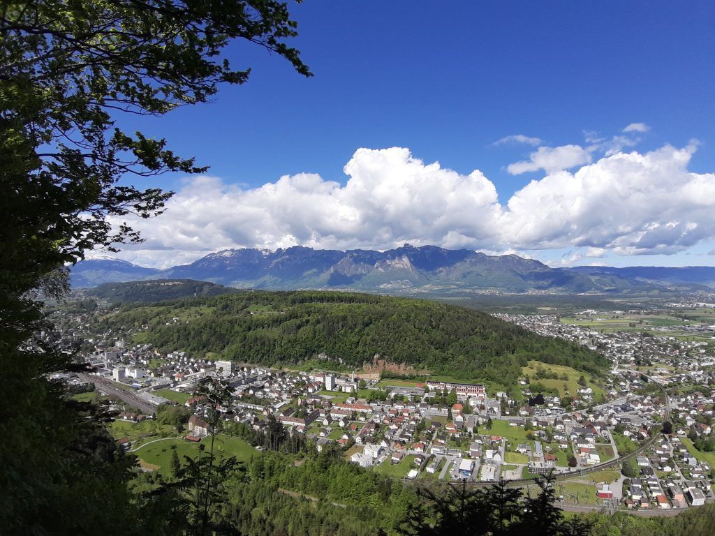 ­Naturnaher Weg mit 360-Grad-Panorama