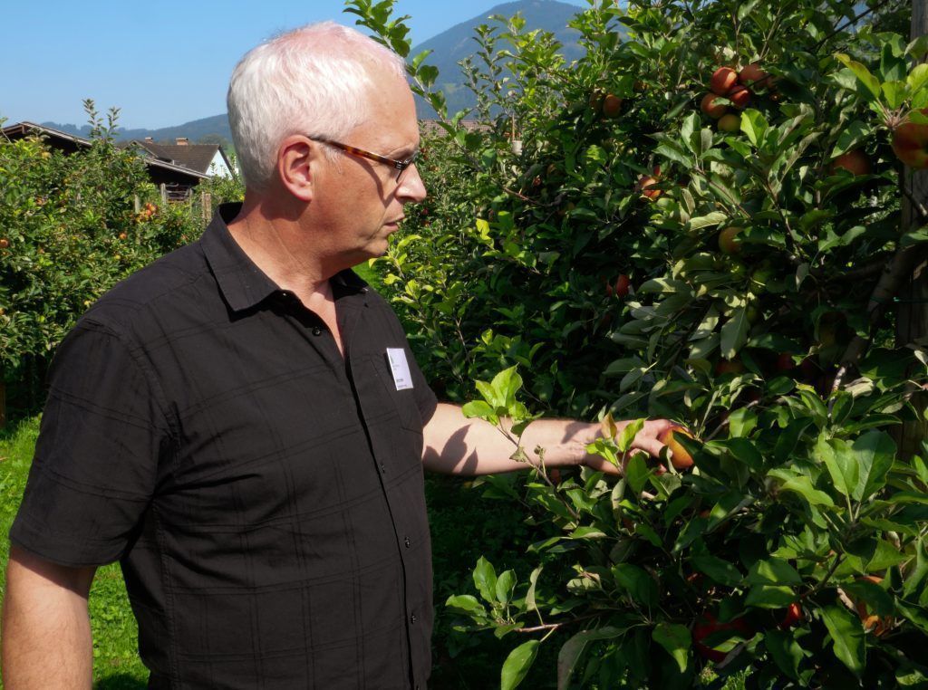Wetterextreme nicht gut für Obstbauern