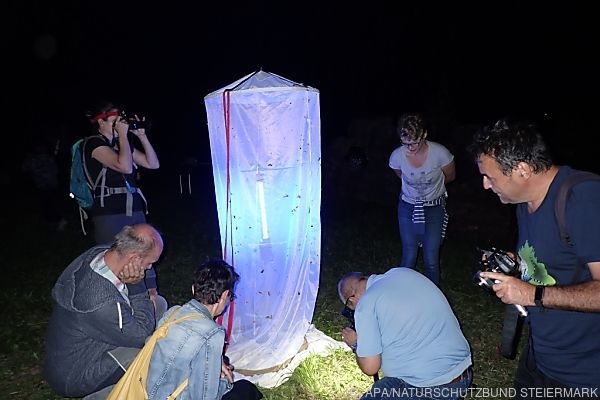 &#8220;Schmetterlingsnacht&#8221; am Grazer Hauenstein