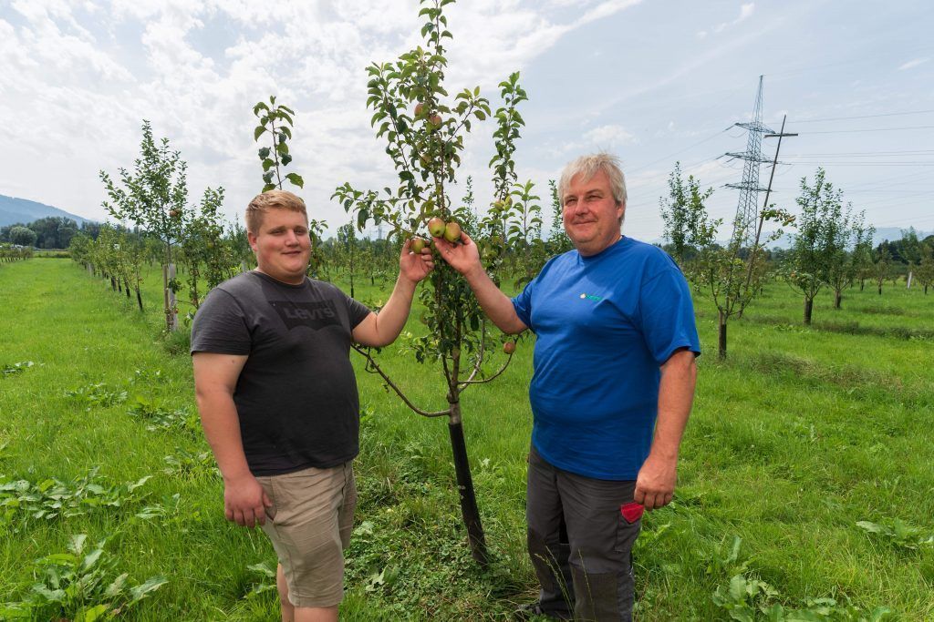 Von der Blüte zur Frucht bis in die Flasche