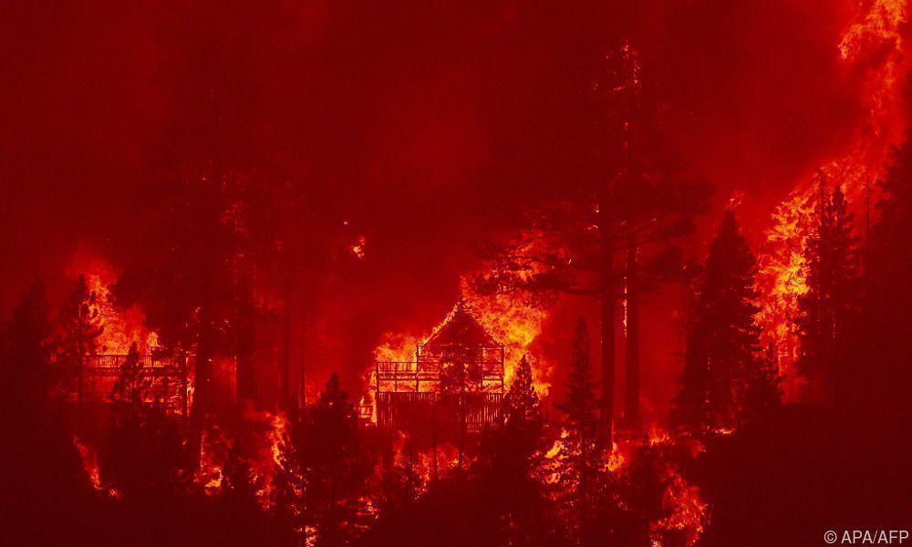Waldbrände in Kalifornien bedrohen Naturjuwel