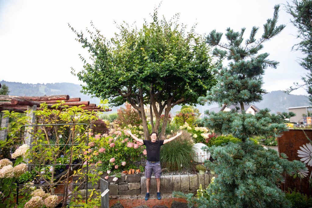 Schönheiten für den heimischen Garten
