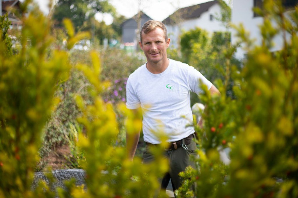 Stauden und Hecken verzieren jeden Garten