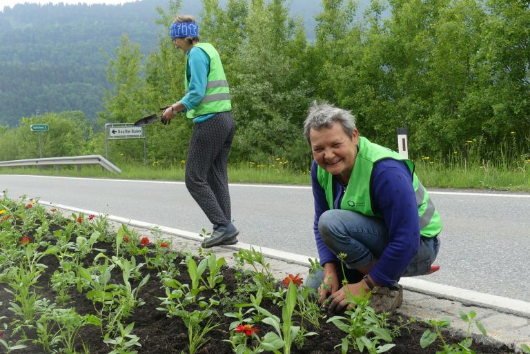 Isabella Moosbrugger beim Pflanzen der Blumenwiese auf der B 200. <span class="copyright">i. moosbrugger</span><span class="copyright"> </span><span class="copyright"></span>