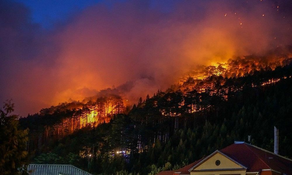 Größter Waldbrand, den es in Österreich je gab